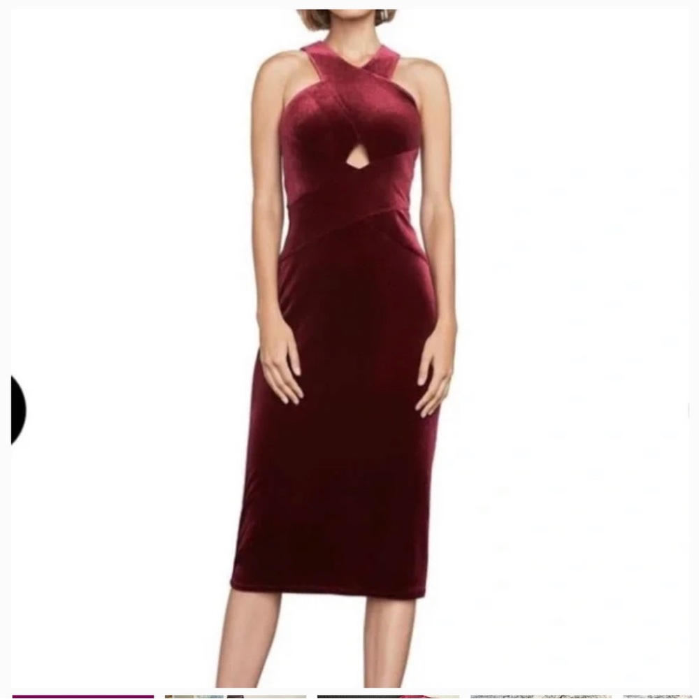 BCBG Burgandy Velvet Dress